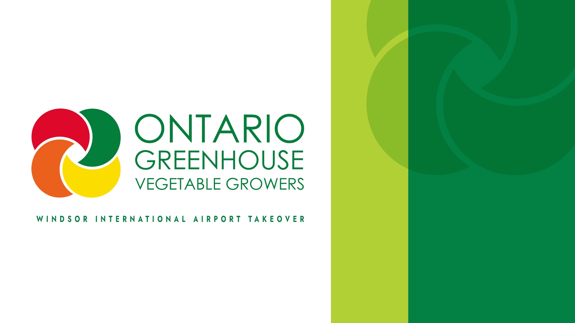 Ontario Greenhouse Vegetable Growers Windsor Airport Takeover logo with colorful circular design and text, alongside green gradient graphic elements on the right.