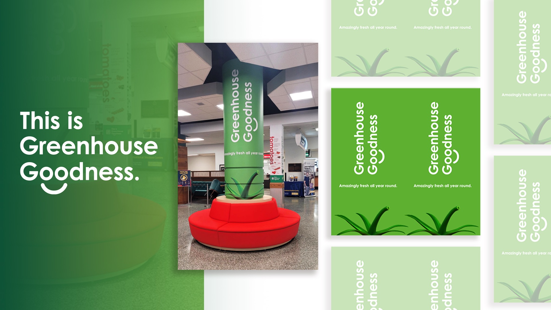 A display with "Greenhouse Goodness" branding on a column and multiple posters—part of the OGVG Windsor Airport Takeover—features green backgrounds and simple plant graphics in a public indoor space.