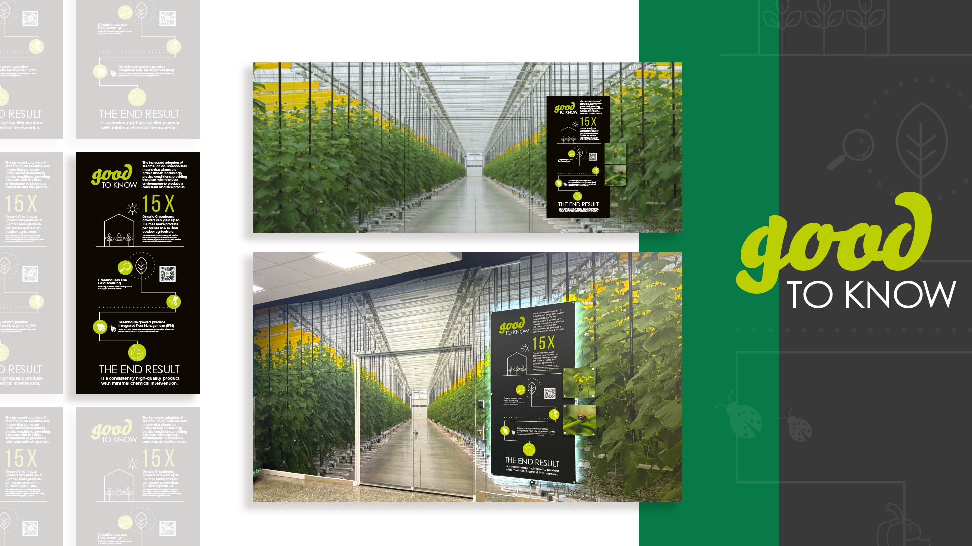 Two photos of a modern greenhouse interior with tall rows of plants and informational signs showcasing the facility’s efficiency and benefits, captured during the OGVG Windsor Airport Takeover. "Good to Know" branding is present.