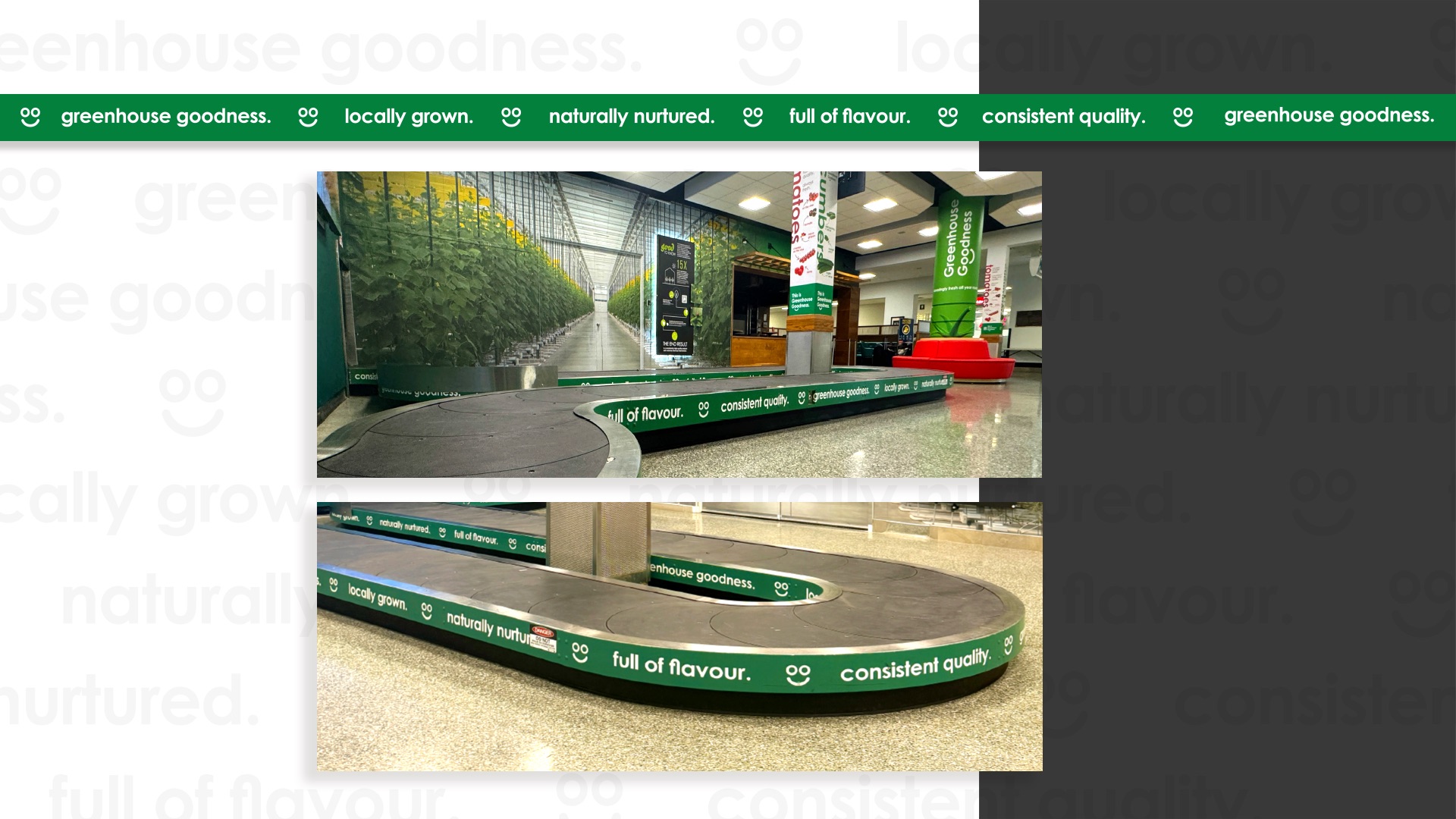 Airport baggage carousel wrapped with green banners for the OGVG Windsor Airport Takeover, featuring phrases like "greenhouse goodness," "locally grown," and "full of flavour" near seating and a large plant photo.